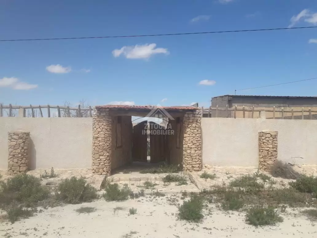 Terrain à Vendre: Opportunité Unique à Kasserine