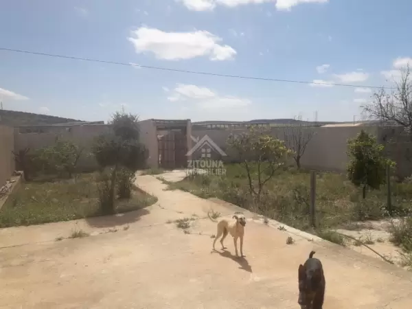 Terrain à Vendre: Opportunité Unique à Kasserine