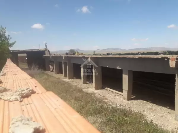 Terrain à Vendre: Opportunité Unique à Kasserine