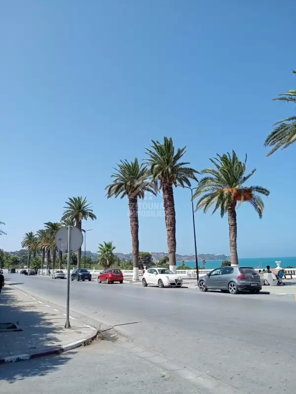 A vendre un magnéfique duplex à la Marsa Plage
