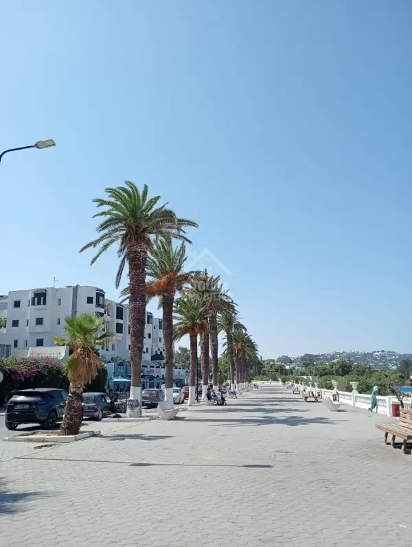 A vendre un magnéfique duplex à la Marsa Plage